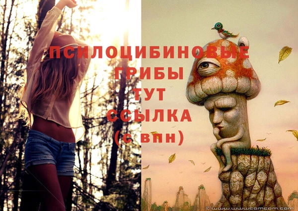 тгк Бугульма