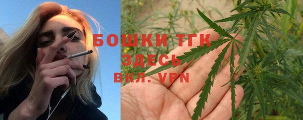 экстази Бородино