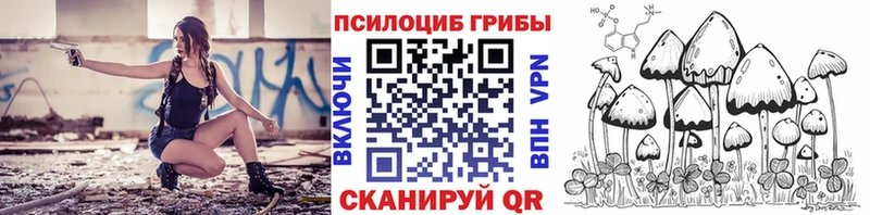Псилоцибиновые грибы Psilocybe  цены   Губкин 